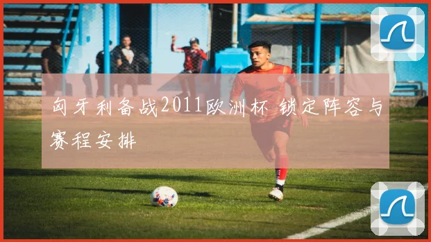 匈牙利备战2011欧洲杯 锁定阵容与赛程安排