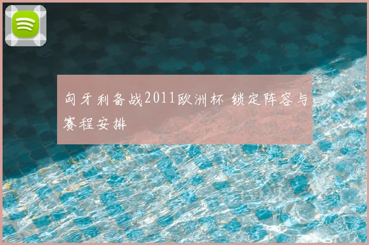 匈牙利备战2011欧洲杯 锁定阵容与赛程安排