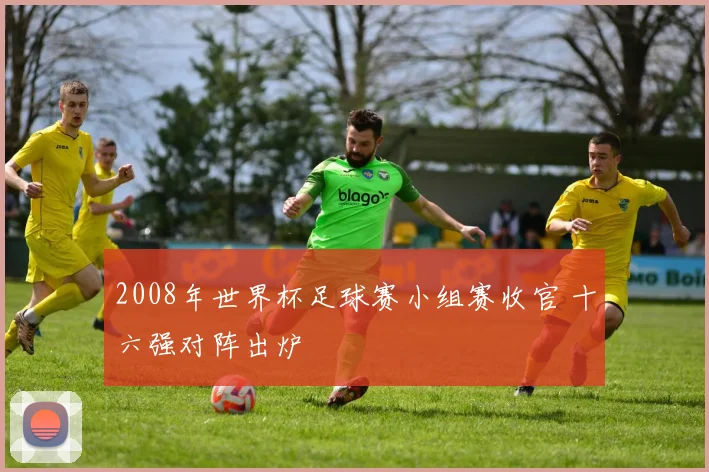 2008年世界杯足球赛小组赛收官 十六强对阵出炉
