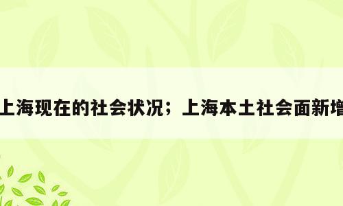 上海现在的社会状况；上海本土社会面新增