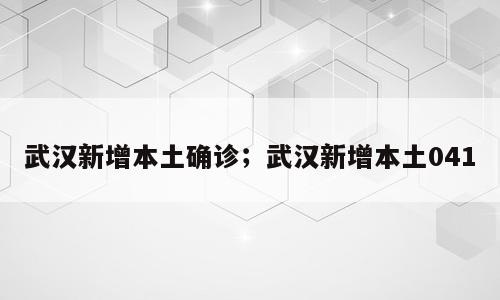 武汉新增本土确诊；武汉新增本土041