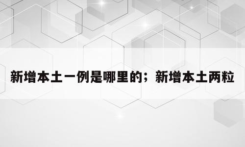 新增本土一例是哪里的；新增本土两粒