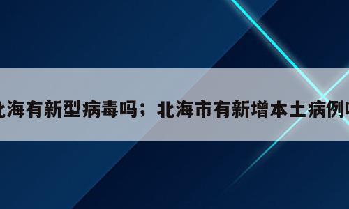 北海有新型病毒吗；北海市有新增本土病例吗