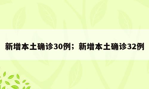 新增本土确诊30例；新增本土确诊32例