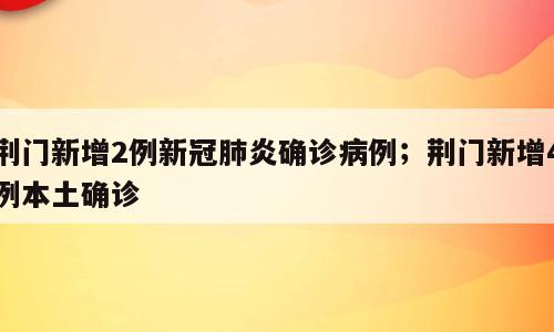 荆门新增2例新冠肺炎确诊病例；荆门新增4例本土确诊