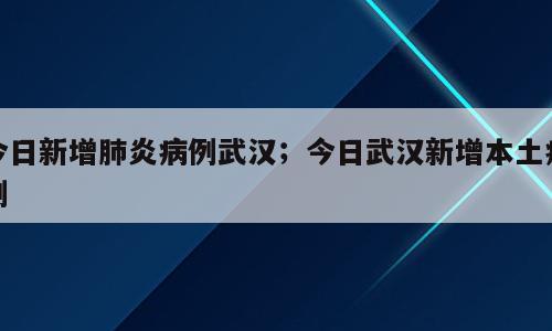 今日新增肺炎病例武汉；今日武汉新增本土病例