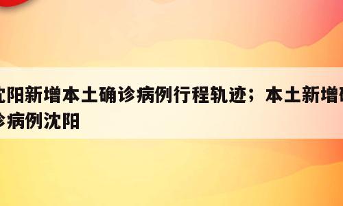 沈阳新增本土确诊病例行程轨迹；本土新增确诊病例沈阳