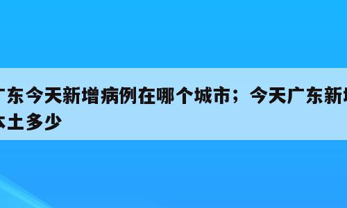 广东今天新增病例在哪个城市；今天广东新增本土多少