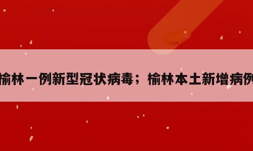 榆林一例新型冠状病毒；榆林本土新增病例