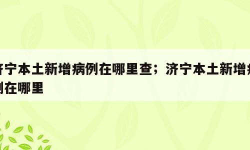 济宁本土新增病例在哪里查；济宁本土新增病例在哪里