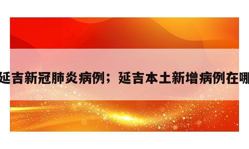 延吉新冠肺炎病例；延吉本土新增病例在哪