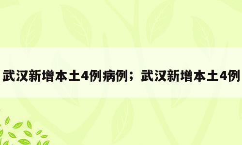 武汉新增本土4例病例；武汉新增本土4例