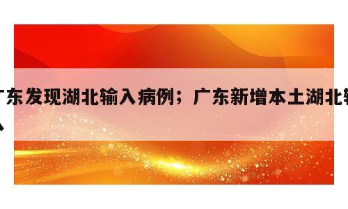 广东发现湖北输入病例；广东新增本土湖北输入