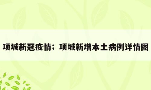 项城新冠疫情；项城新增本土病例详情图