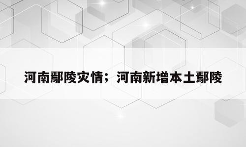 河南鄢陵灾情；河南新增本土鄢陵