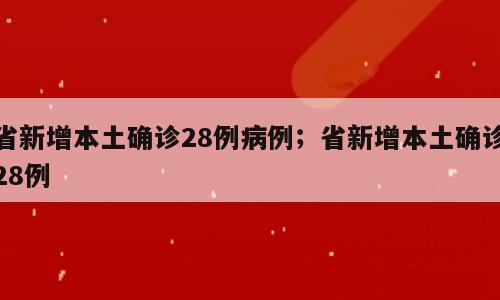 省新增本土确诊28例病例；省新增本土确诊28例