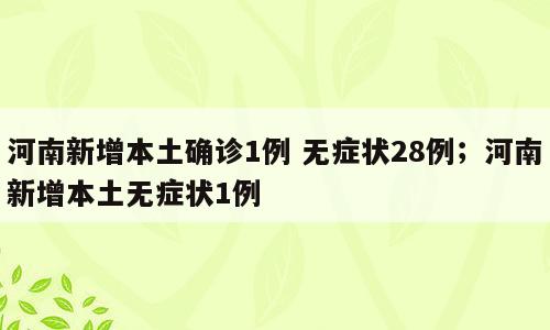 河南新增本土确诊1例 无症状28例；河南新增本土无症状1例