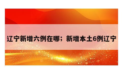 辽宁新增六例在哪；新增本土6例辽宁