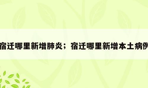 宿迁哪里新增肺炎；宿迁哪里新增本土病例