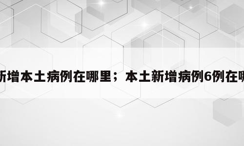 新增本土病例在哪里；本土新增病例6例在哪
