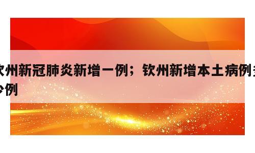 钦州新冠肺炎新增一例；钦州新增本土病例多少例