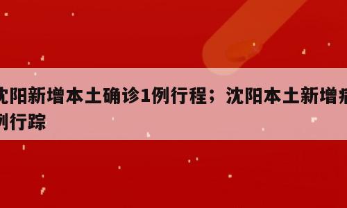 沈阳新增本土确诊1例行程；沈阳本土新增病例行踪