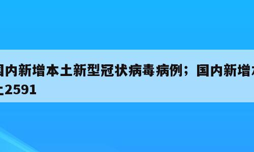 国内新增本土新型冠状病毒病例；国内新增本土2591