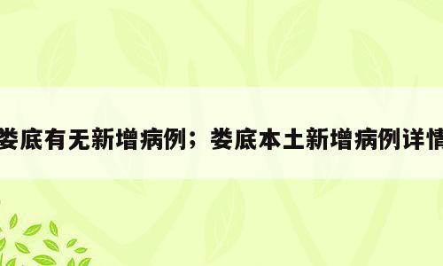 娄底有无新增病例；娄底本土新增病例详情