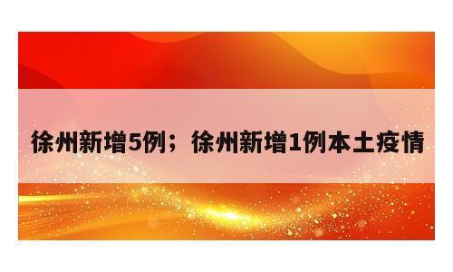 徐州新增5例；徐州新增1例本土疫情