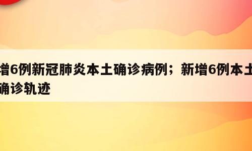 增6例新冠肺炎本土确诊病例；新增6例本土确诊轨迹