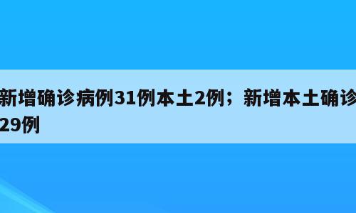 新增确诊病例31例本土2例；新增本土确诊29例