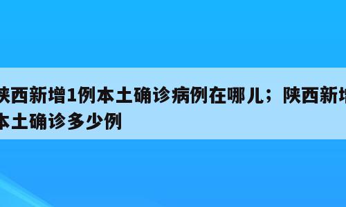 陕西新增1例本土确诊病例在哪儿；陕西新增本土确诊多少例