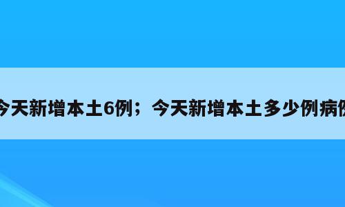 今天新增本土6例；今天新增本土多少例病例