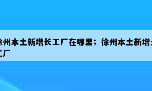 徐州本土新增长工厂在哪里；徐州本土新增长工厂