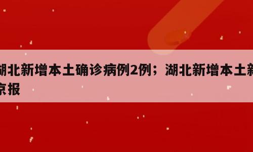 湖北新增本土确诊病例2例；湖北新增本土新京报