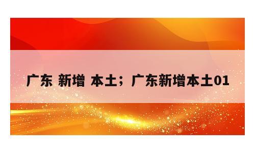 广东 新增 本土；广东新增本土01