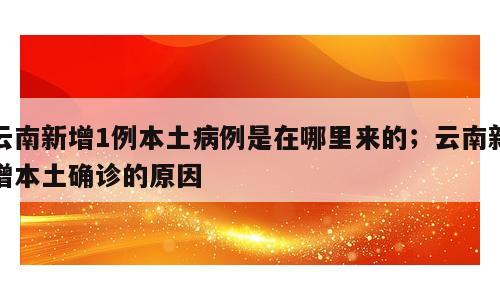 云南新增1例本土病例是在哪里来的；云南新增本土确诊的原因