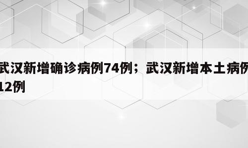 武汉新增确诊病例74例；武汉新增本土病例12例