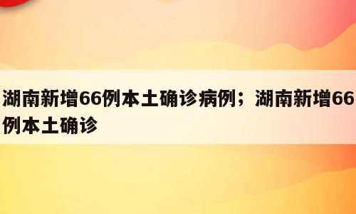 湖南新增66例本土确诊病例；湖南新增66例本土确诊
