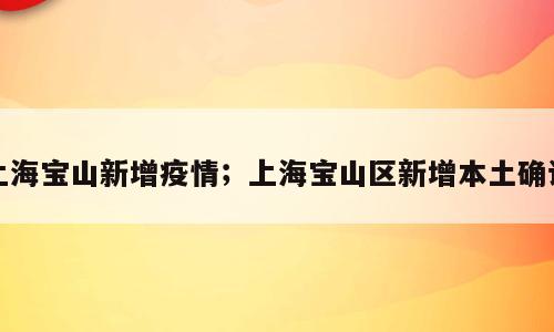上海宝山新增疫情；上海宝山区新增本土确诊