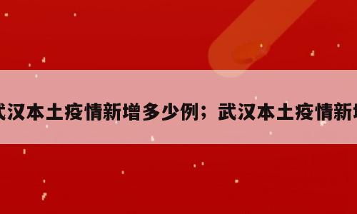 武汉本土疫情新增多少例；武汉本土疫情新增