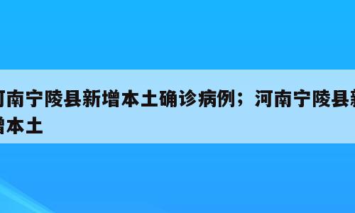 河南宁陵县新增本土确诊病例；河南宁陵县新增本土