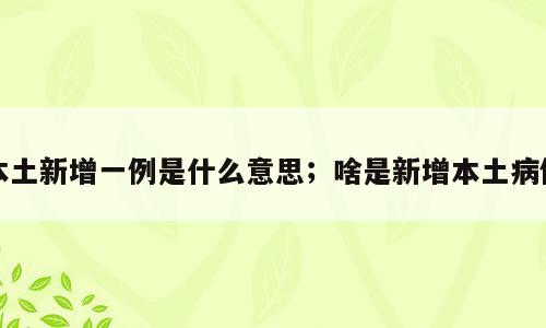 本土新增一例是什么意思；啥是新增本土病例