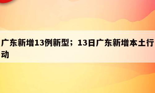 广东新增13例新型；13日广东新增本土行动