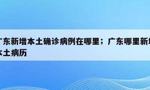 广东新增本土确诊病例在哪里；广东哪里新增本土病历
