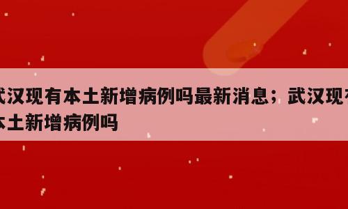 武汉现有本土新增病例吗最新消息；武汉现有本土新增病例吗
