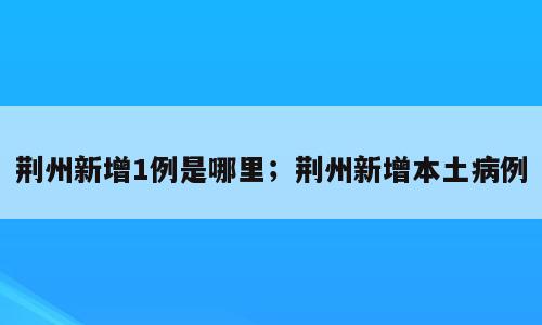 荆州新增1例是哪里；荆州新增本土病例
