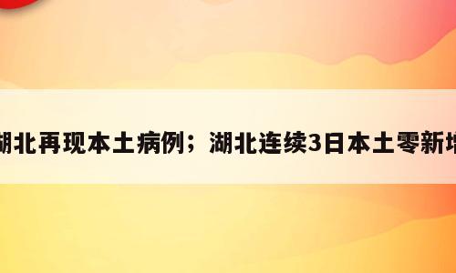 湖北再现本土病例；湖北连续3日本土零新增
