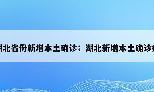 湖北省份新增本土确诊；湖北新增本土确诊病