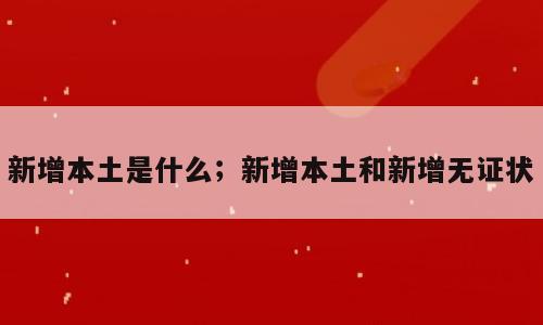 新增本土是什么；新增本土和新增无证状